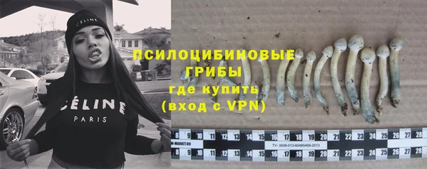 скорость mdpv Белокуриха