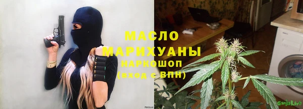 гидра Богородицк