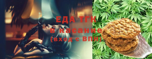 гидра Богородицк