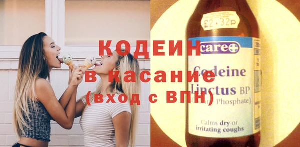 гидра Богородицк