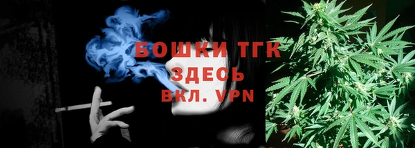 гидра Богородицк